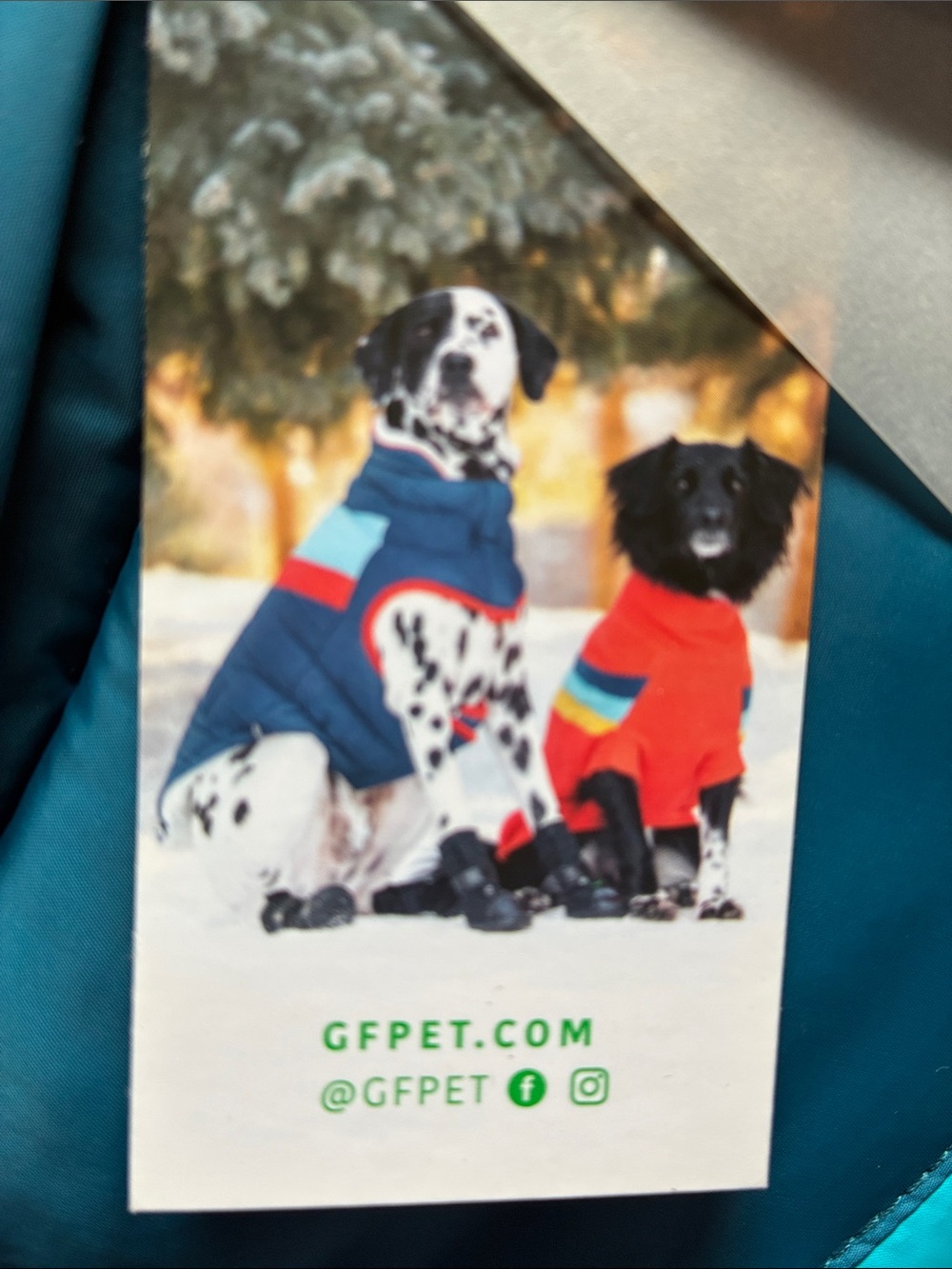 Dog Coat M